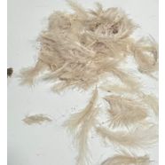 KAPİÇİNO TÜY 10/15 CM 100 ADT
