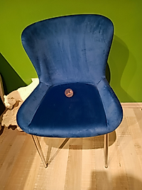 MERCAN MOBİLYA POLİÜRETAN SANDALYE