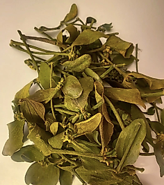 Fırsat Kapısı ÖKSE OTU 150 GR