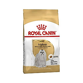 Royal Canin Maltese Terrier Yetişkin Köpek Maması (1,5 kg)