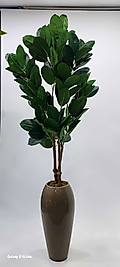 Damla Karbonfiber saksıda Limon Ağacı - 220 cm