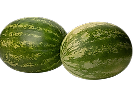KARPUZ