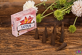 Lotus Konik Tütsü