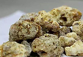 Fırsat Kapısı ÇAM SAKIZI 200 GR