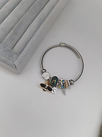 PANDORA MODEL