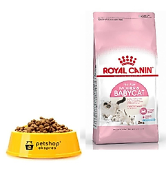 Royal Canin Açık Anne ve Yavru Kedi Maması