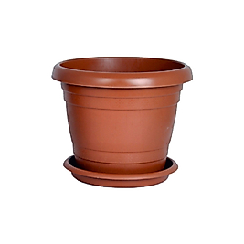 Terra (Kiremit) Renk Saksı