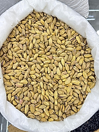 EXTRA NATÜREL ANTEP FISTIĞI (ÇUVAL=25 KG)