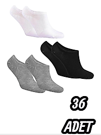 Erkek Sneaker Çorap 36 Adet