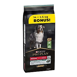 ProPlan Adult Medium Kuzu Etli Yetişkin Köpek Maması 16.5 Kg Bonus