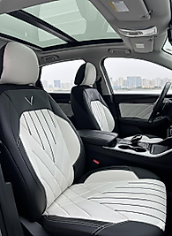 EFE SERİSİ-BABY FACE KUMAŞ VE DERİ KOLTUK KILIFI VE BAŞLIĞI & FULL SET