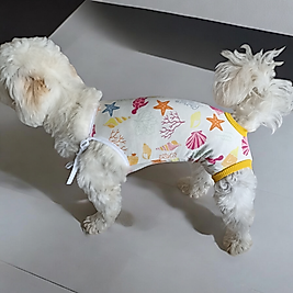 Dişi köpek regl Külodu zıbın külot