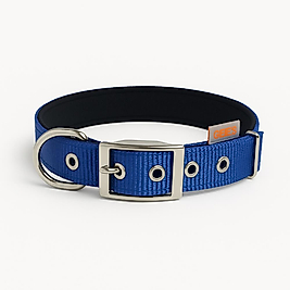 GEE’S™ Kemer Tokalı Boyun Tasması 60 cm