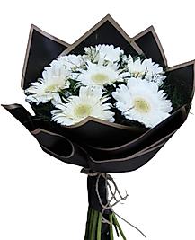 Siyah Kağıtta 7’li Beyaz Gerbera