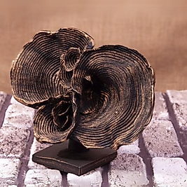 Mercan Biblo 25x25cm. KAHVERENGİ