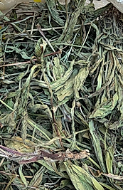 Fırsat Kapısı SİNİRLİ OT 150 GR