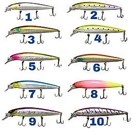 Balza rapala 10 cm 12 gr