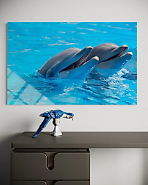 İki Yunuslu Cam Tablo