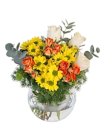 Mixed Press Seasonal Flowers