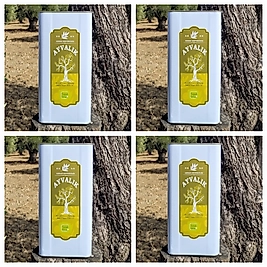 Olgun Hasat Zeytinyağı 5lt. X4