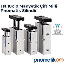 TN 10x10 | Çift Milli Manyetik Pnömatik Silindir
