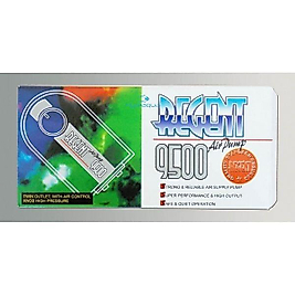Regent 9500 Hava Motoru Çift Çıkış