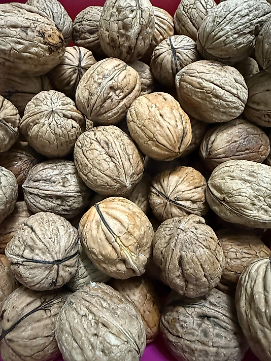 1 Kg Yerli Ceviz