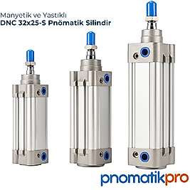 DNC 32x25-S | Manyetik Yastıklı Pnömatik Silindir