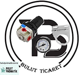 AR3000-03  3/8 REGÜLATÖR KARE TİP EXPFLEX