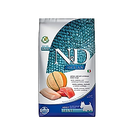 N&D Ocean Somon, Morina Balıklı & Kavunlu Küçük Irk Yetişkin Köpek Maması (2,5 kg)