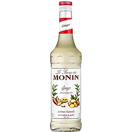 Monin Ginger Zencefil Aromalı Şurup 70 CL