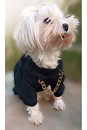 Köpek Ve Kedi Kıyafeti & Elbisesi Sweatshirt zincirli