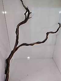 Flame Wood Akvaryum Dekor