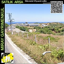 1003- BALIKESIR-BANDIRMA - SATILIK ARSA ( Çırpılık) -SAHIL YENICE MAHALLE- 779.44 m²- 1 650 000TL-