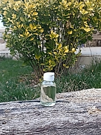 TOROS NANE YAĞI (20 ML)