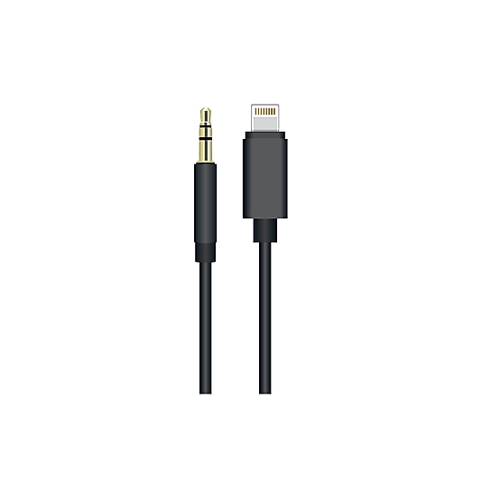 SUNİX AC-04 LİGHTNİNG AUX KABLO