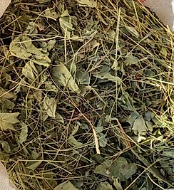 Fırsat Kapısı ASLAN PENÇESİ 150 GR