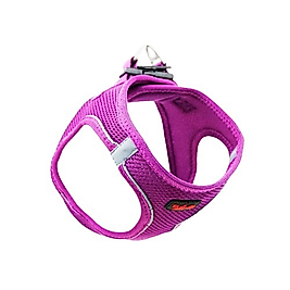 Tailpetz Air Mesh Göğüs Tasması Mor (XL)