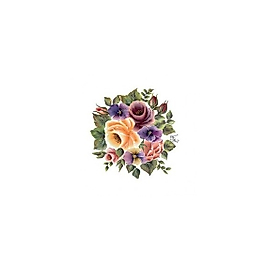 Gülsün Ülkü 17*25 G-26