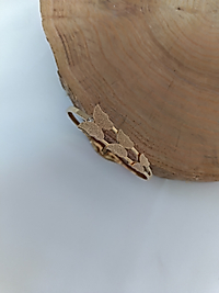 KE005 MODEL KELEPÇE