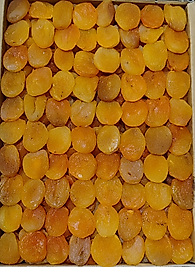 MOR KUTU KAYSI