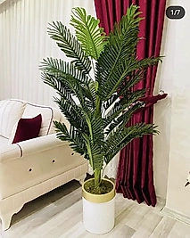 Yapay Yeni Areka