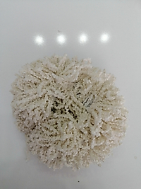 Topuz tokası