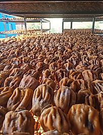 500 Gr Cennet Hurması