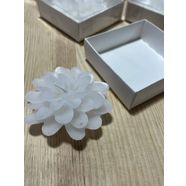LOTUS MUM 20 ADT