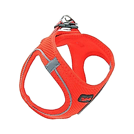 Tailpetz Air Mesh Garnet Köpek Göğüs Tasması XL