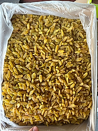 JUMBO İRAN ÜZÜMÜ