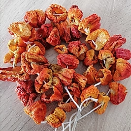 Tatlı biber kurusu  (bir bağ)