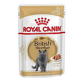 Royal Canın Adult British Shorthair 85gr