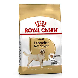 Royal Canin Yetişkin Labrador Açık Köpek Maması